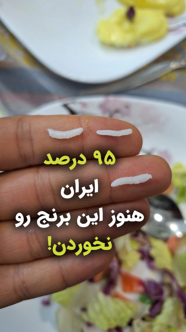 بهترین برنج ایرانی چیه؟ و از کجا این برنج رو بخرم؟ برنج کشت دوم شمال چیه؟