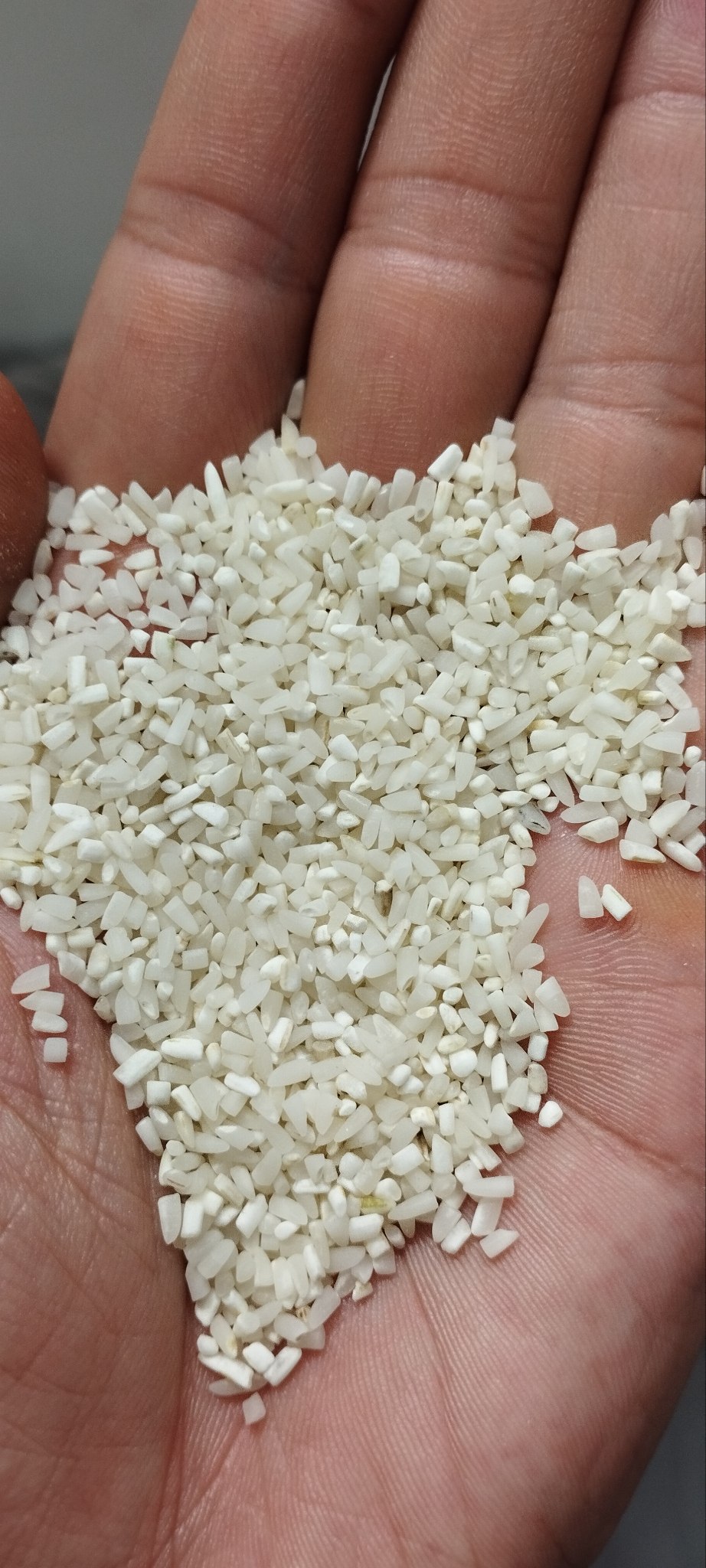 خرید نیم دانه معطر هاشمی