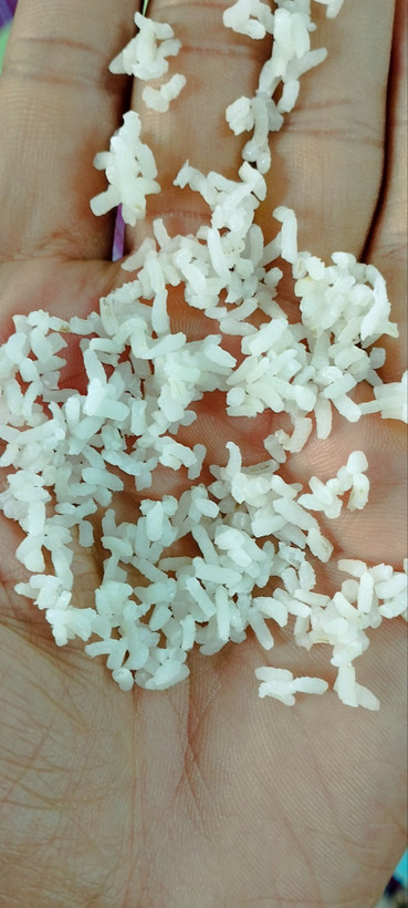 خرید نیم دانه درشت کشت دوم