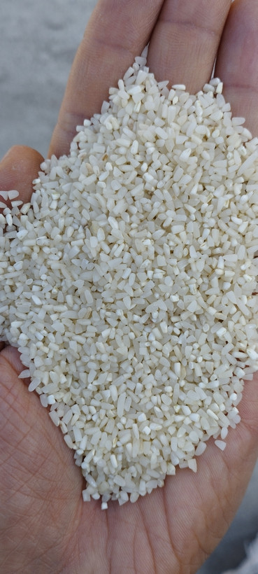 چطور نیمدانه عمده درجه یک پیدا کنم ؟
